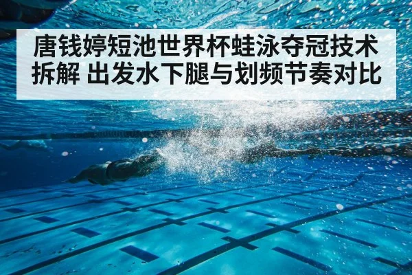 唐钱婷短池世界杯蛙泳夺冠技术拆解 出发水下腿与划频节奏对比