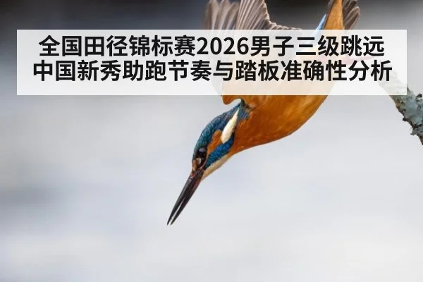 全国田径锦标赛2026男子三级跳远 中国新秀助跑节奏与踏板准确性分析